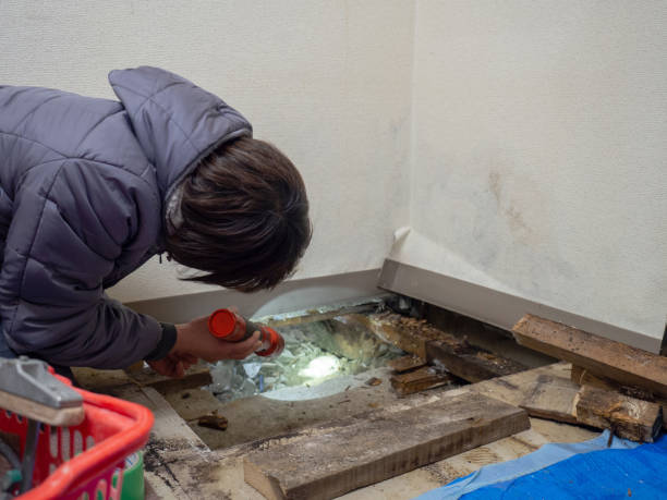 Mold Documentation for Insurance Claims in Montura, FL