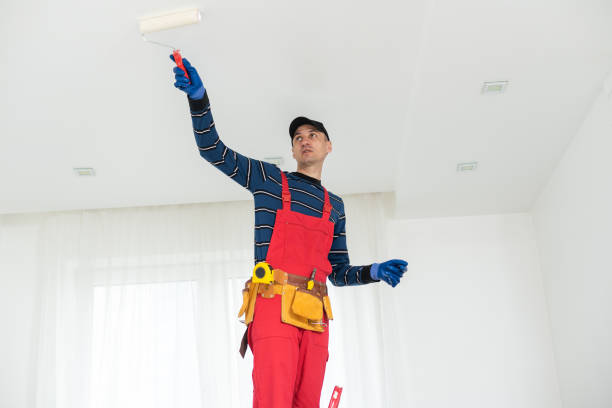 Best Mold Odor Removal Services  in Montura, FL